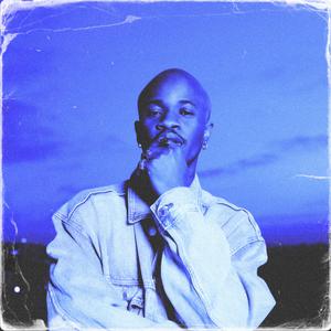 精品一区二区不卡无码av
